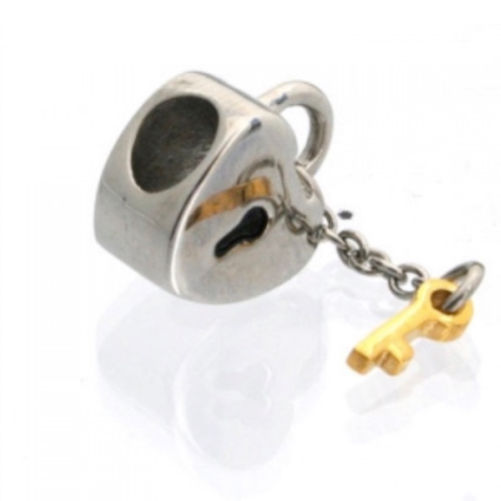 Stainless steel charm